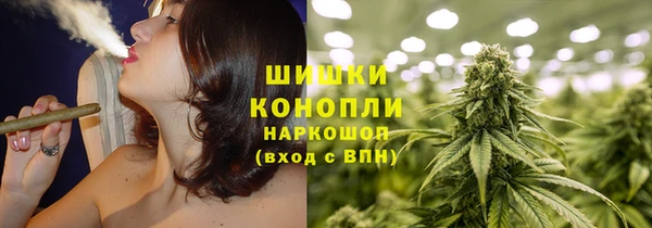 гидра Липки