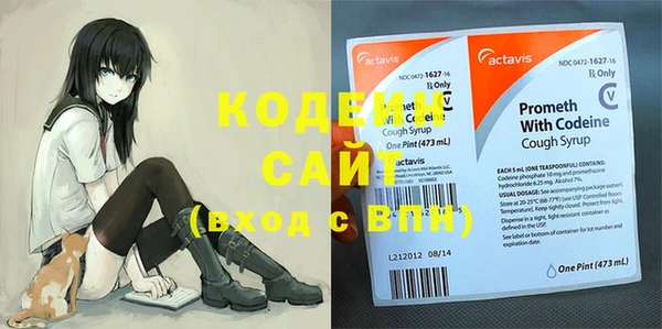 гидра Липки