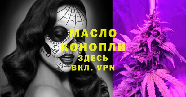 гидра Липки