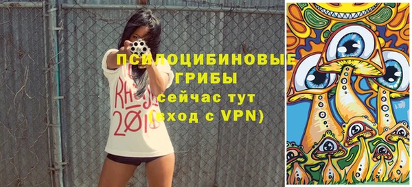 гидра Липки