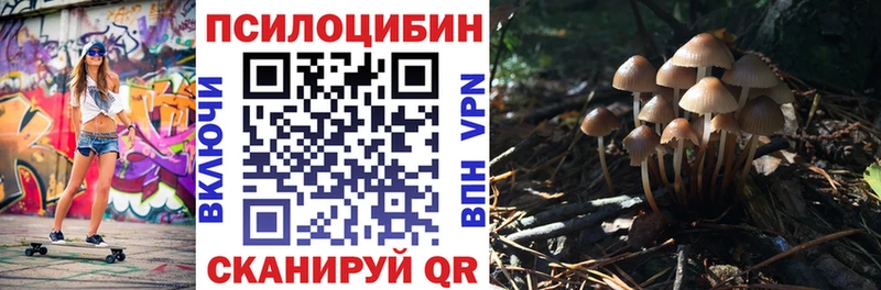 это состав  Туймазы  ОМГ ОМГ ТОР  Псилоцибиновые грибы мухоморы  наркотики 