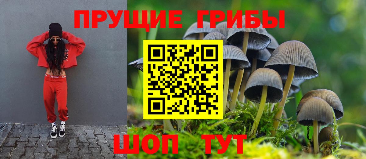 Псилоцибиновые грибы мицелий Туймазы